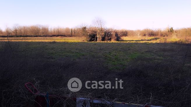 Terreno agricolo in commerciale in Via Michelangelo Buonarroti 00