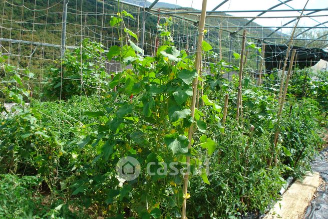 Terreno agricolo in commerciale in Via Caodivilla
