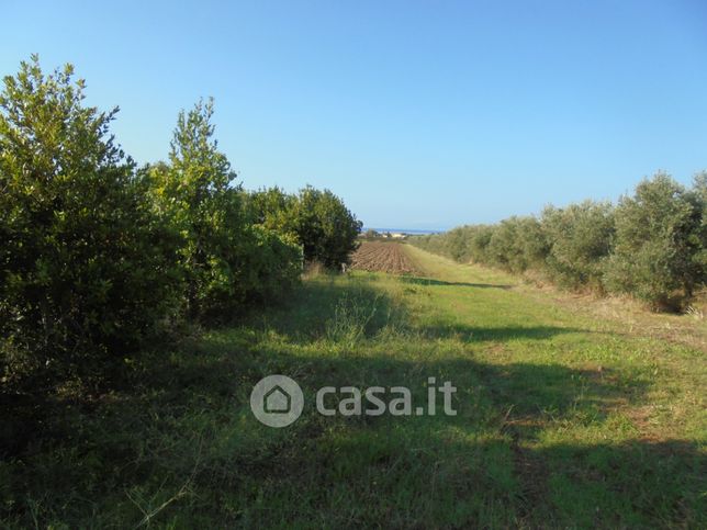 Terreno agricolo in commerciale in LocalitÃ  Poggio alle Formiche