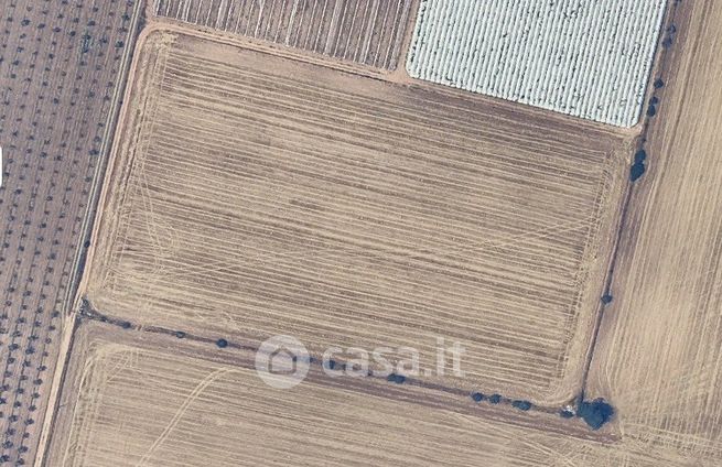 Terreno agricolo in commerciale in Strada Vicinale Marrese