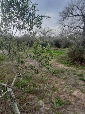 Terreno agricolo in commerciale in SP48