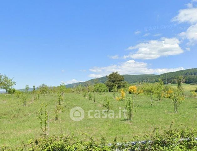 Terreno agricolo in commerciale in Via Cacciagrilli