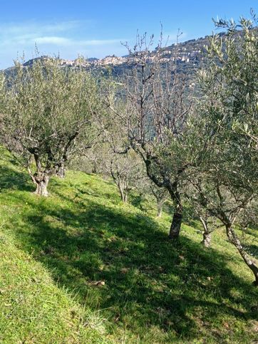 Terreno agricolo in commerciale in Contrada Giacchetto 00