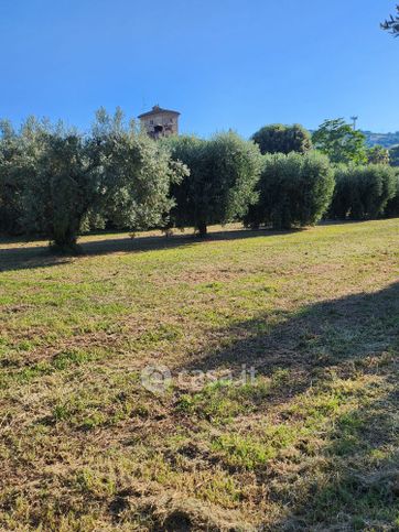 Terreno agricolo in commerciale in SS16 37