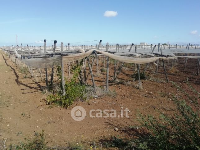 Terreno agricolo in commerciale in Strada Provinciale 179