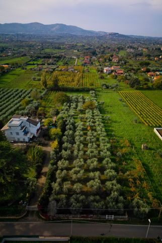 Terreno agricolo in commerciale in Via San Apollaria