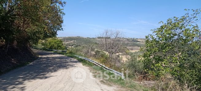 Terreno agricolo in commerciale in Contrada Bufarale