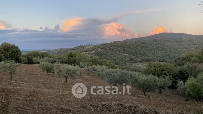 Terreno agricolo in commerciale in Strada Provinciale 159 125