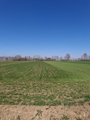 Terreno agricolo in commerciale in Via Piave 36