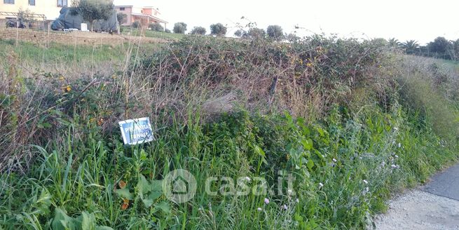 Terreno agricolo in commerciale in Strada Delle Molacce