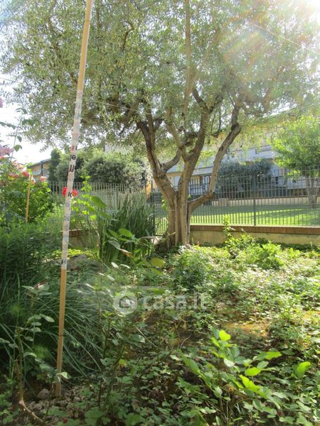 Monolocali Con Giardino Privato In Vendita A Pesaro In Zona Santa Maria Dell Arzilla Casa It