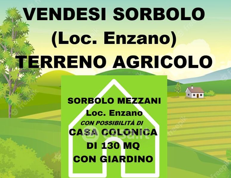 Terreni agricoli in vendita a Sorbolo Mezzani Casa.it