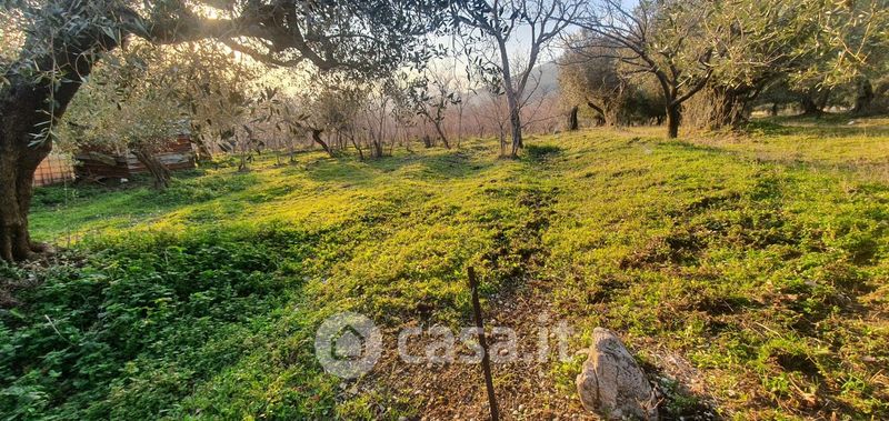 Terreni Agricoli In Vendita A Avellino In Zona Centro Storico - Casa.it