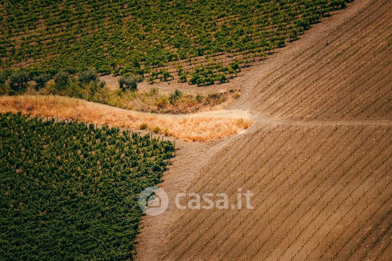 Dott Qr Code Terreno agricolo in Vendita in Via Argine San Paolo a Massa Lombarda ...