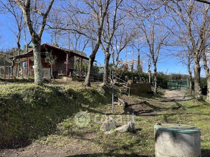 Terreno agricolo in Vendita in Via Bosco Satrano a San Michele di