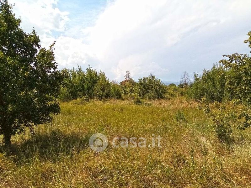 Terreno edificabile in Vendita in Viale Santa Margherita a Arezzo