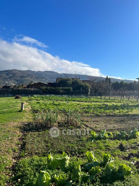 Terreni agricoli in vendita a Arezzo in zona Agazzi Olmo San Zeno