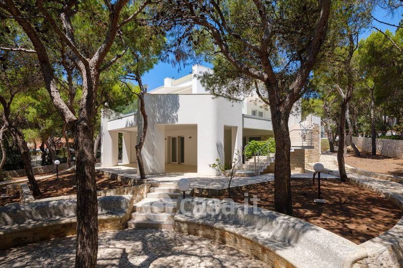 Villa In Vendita In Strada Santa Caterina A Nard 700mq Casa it villa-in-vendita-in-strada-santa-caterina-a-nard-700mq-casa-it
