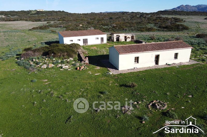 L'Albero Magico - Casa vacanza in uno stazzo con vista mare nella campagna  tra Santa Teresa e Palau