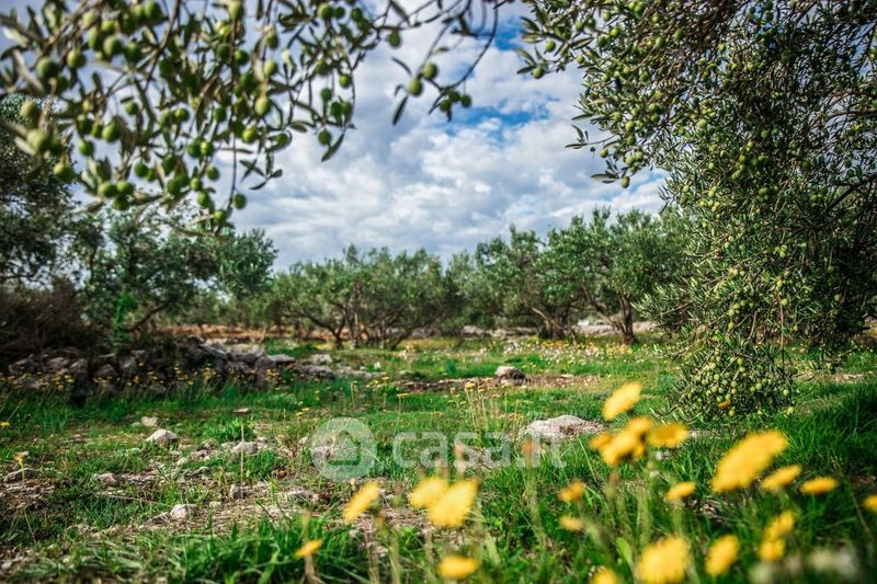 Dott Qr Code Terreno agricolo in Vendita in Via Ranelle Rotondoli a Ausonia - 6190mq ...