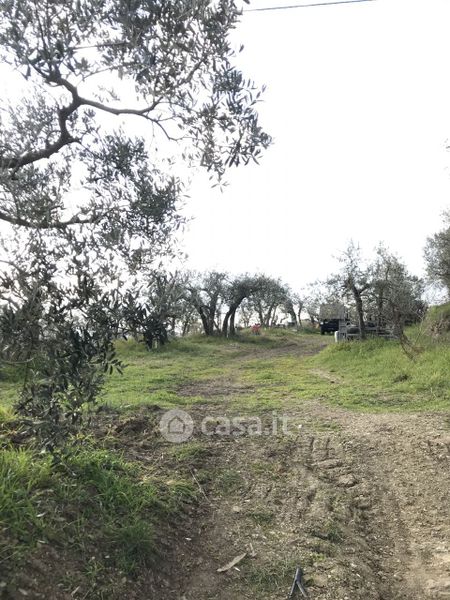 Terreni agricoli in vendita a Arezzo in zona Agazzi Olmo San Zeno