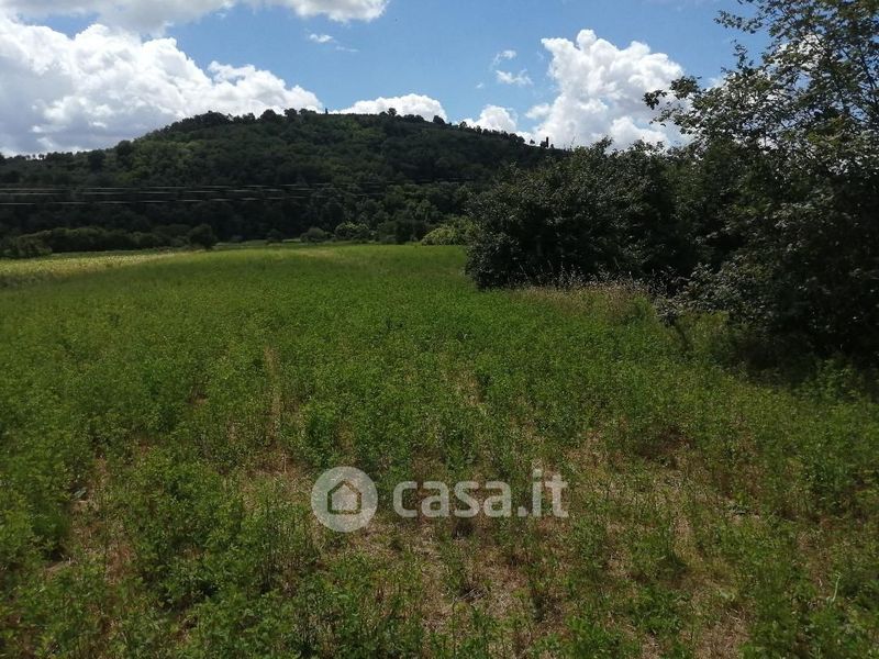 Terreno agricolo in Vendita in zona Meridiana Pescaiola a Arezzo