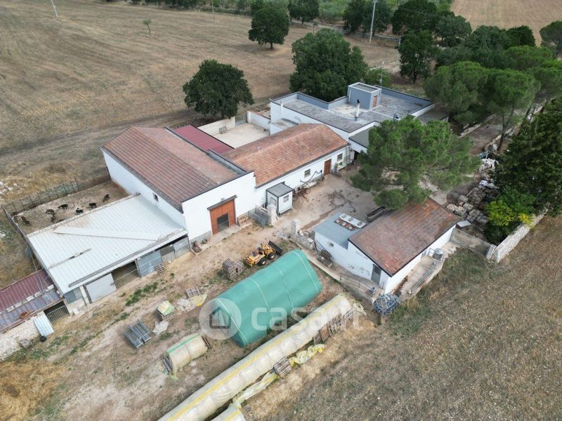 Monolocali Con Giardino Privato In Vendita A Acquaviva Delle Fonti