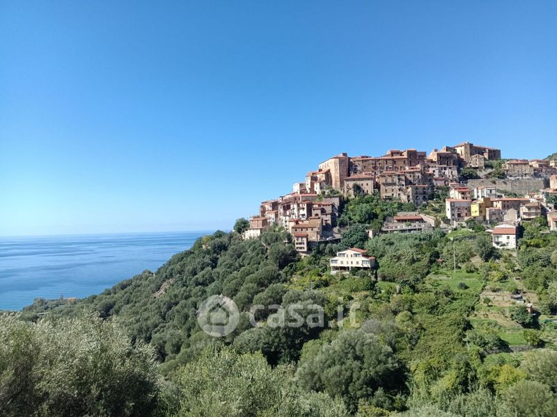 Bilocale In Vendita In Via San Maria Della Stella A Pisciotta Mq Casa It