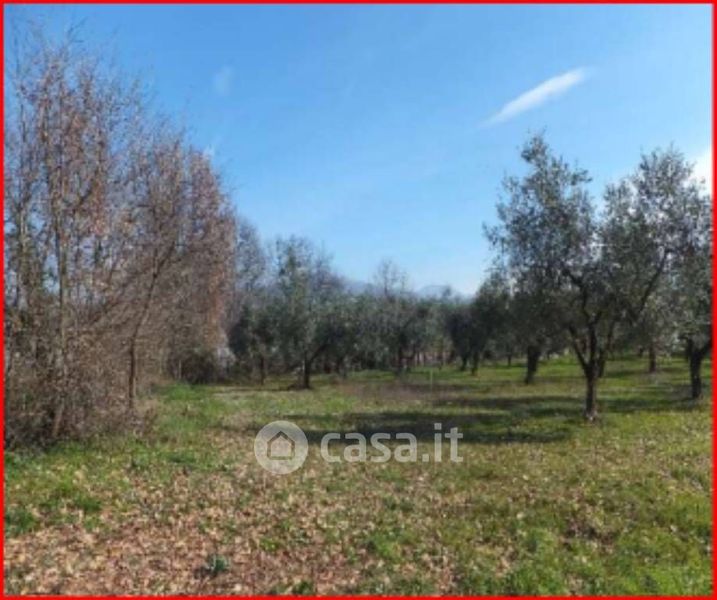 Terreno Edificabile In Vendita In Via Jugoslavia A Alatri Mq