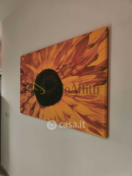 Bilocale in Pozzo Strada, foto 7 di 27
