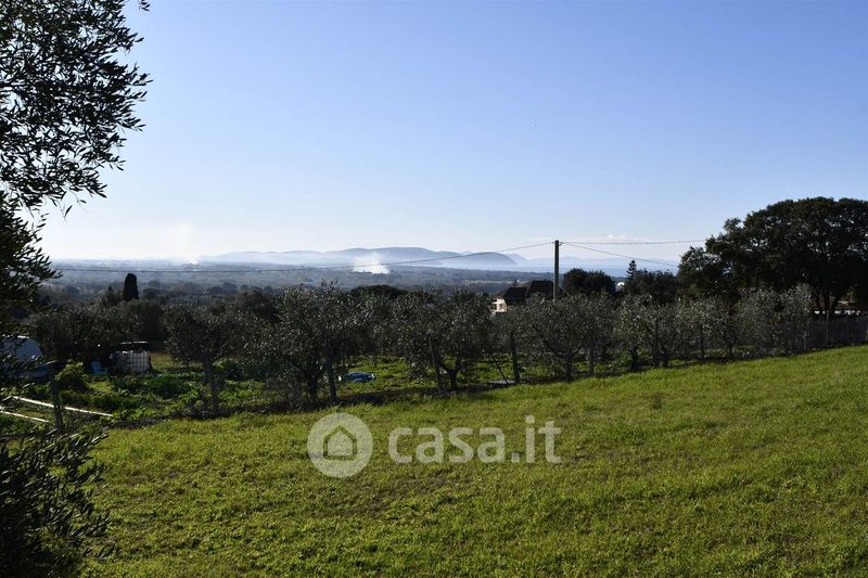 Rustici, casali in vendita a San Vincenzo Casa.it