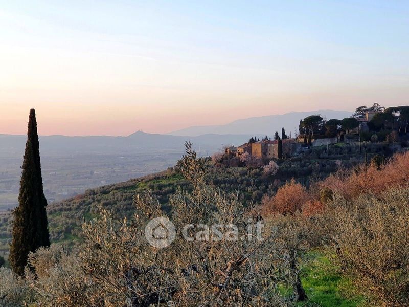 Appartamenti con giardino in affitto in provincia di Arezzo Casa.it