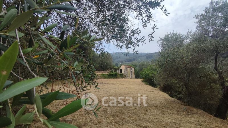 Rustici, Casali con giardino privato in vendita in provincia di Imperia 