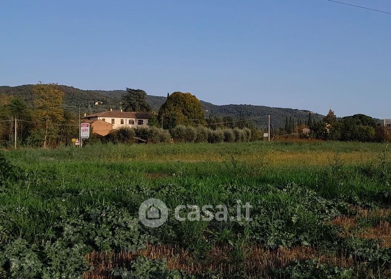 Terreni agricoli in vendita a Arezzo in zona Frassineto Policiano