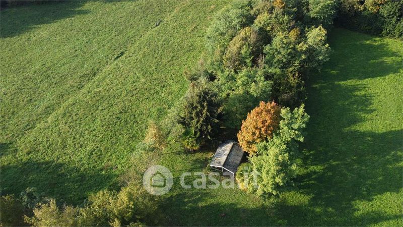 L'UOMO CHE PIANTAVA GLI ALBERI a Lurate Caccivio 2024