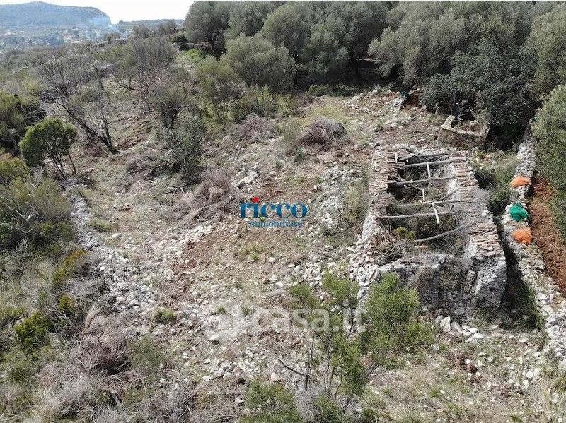 Terreno Agricolo In Vendita In Via Infreschi A Camerota Mq Casa It