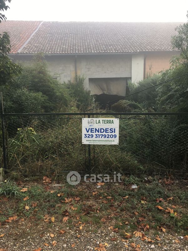 altimetro da parete SECA - Collezionismo In vendita a Ferrara