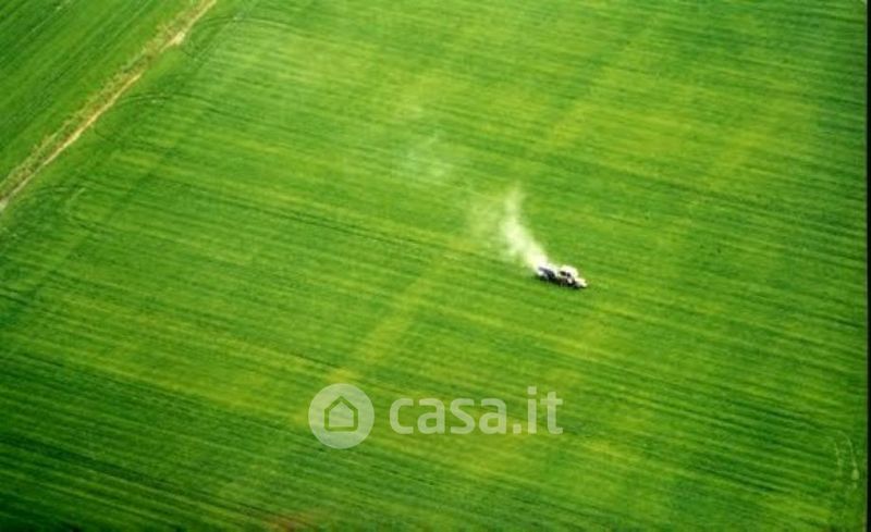 Terreno Agricolo In Vendita In Strada Campagne A Biella Mq