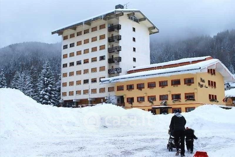 Appartamenti In Affitto Fondo Grande Folgaria