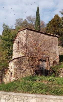 Rustici, Casali Economici Con Giardino Privato In Vendita In Provincia ...